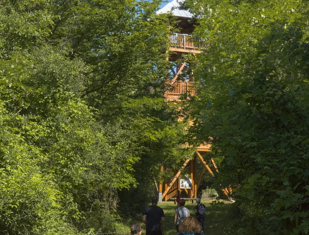 Dudáska Leánykökörcsin-kilátó a tanösvény végén