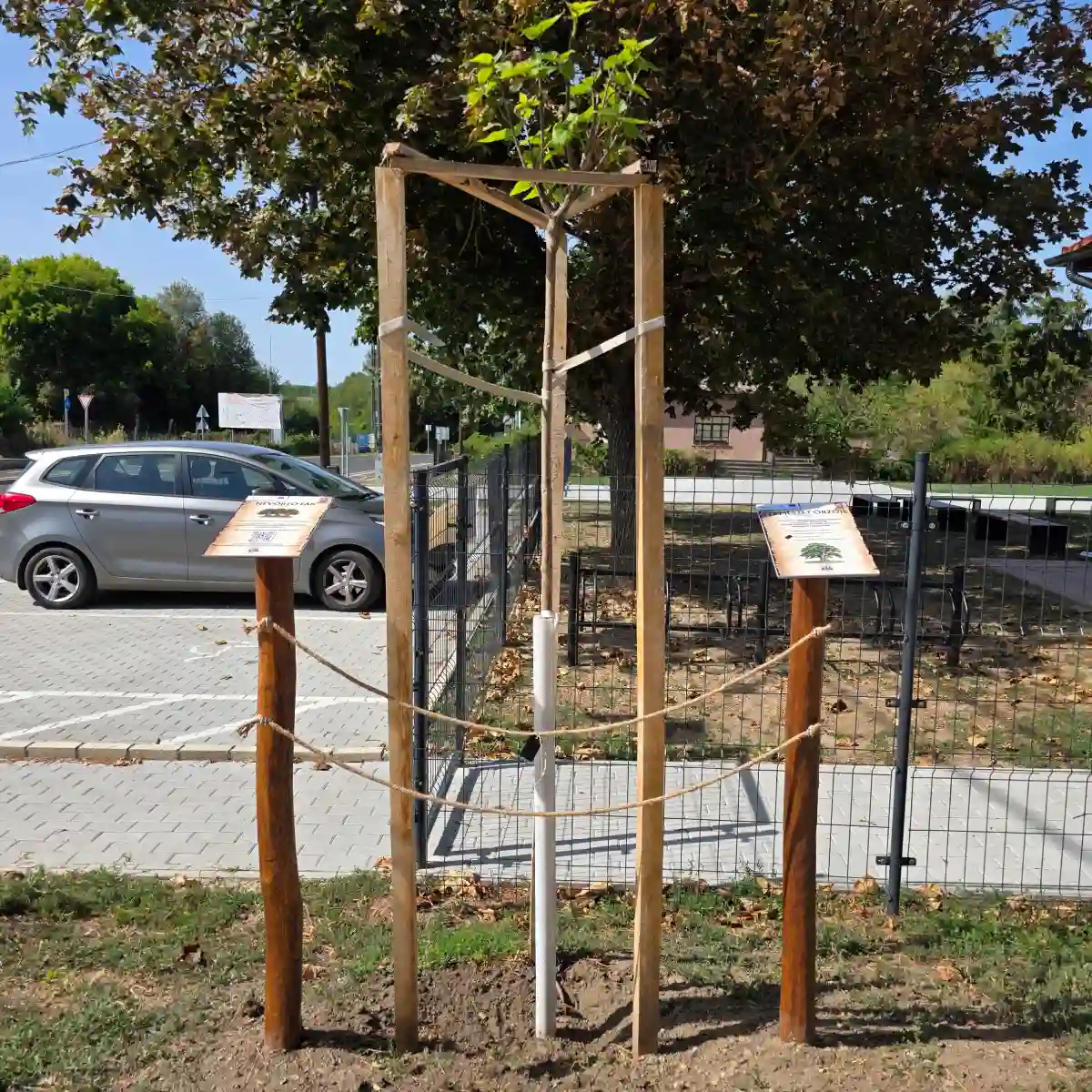 Névőrző fák a Szügyelő élmény útvonalán